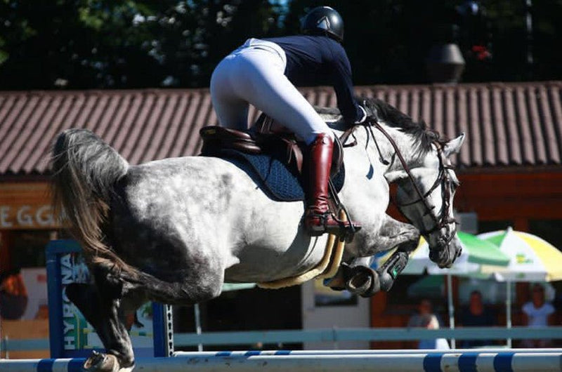 Chargez l'image dans la visionneuse de la galerie, Marine