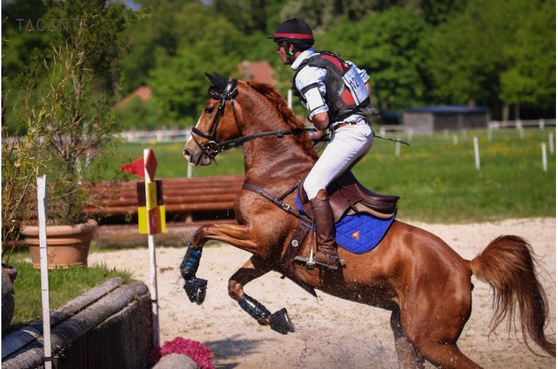 Chargez l'image dans la visionneuse de la galerie, Bleu roi