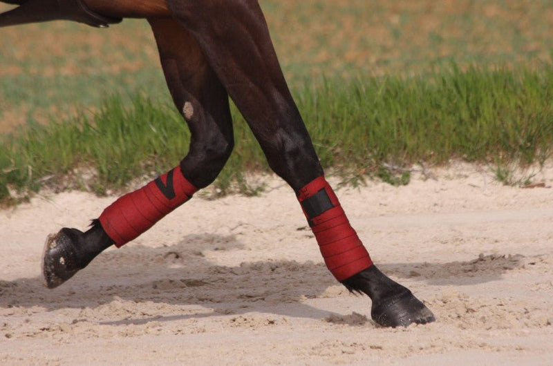 Chargez l'image dans la visionneuse de la galerie, Rouge