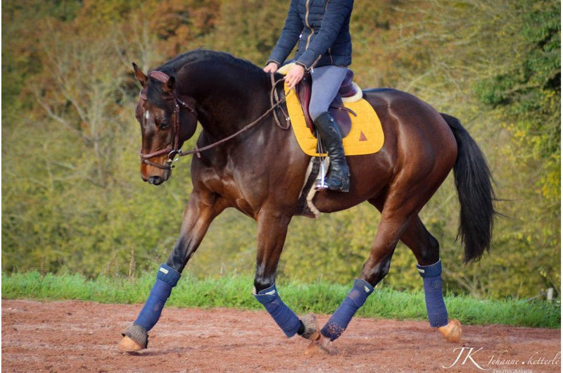 Chargez l'image dans la visionneuse de la galerie, Jaune d'or