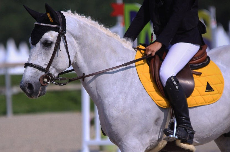 Chargez l'image dans la visionneuse de la galerie, Jaune d'or