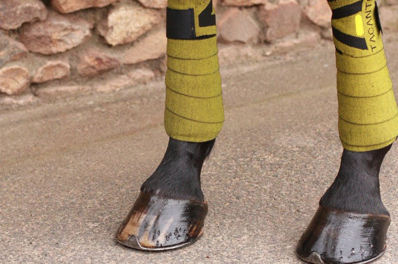 Chargez l'image dans la visionneuse de la galerie, Jaune d'or