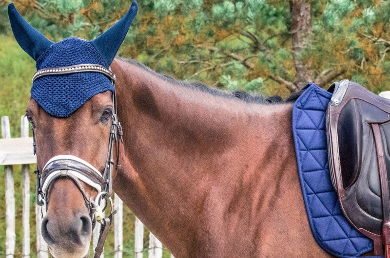 Chargez l'image dans la visionneuse de la galerie, Blanc / Marine