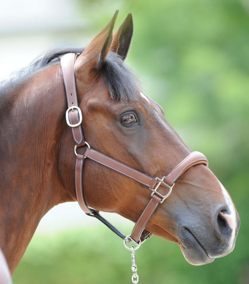 Chargez l'image dans la visionneuse de la galerie, Gold