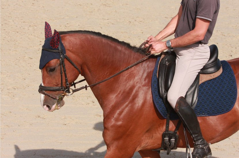 Chargez l'image dans la visionneuse de la galerie, Rouge / Marine