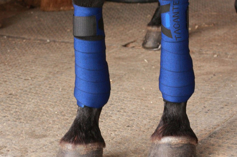 Chargez l'image dans la visionneuse de la galerie, Bleu roi