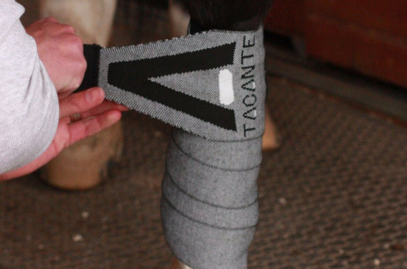 Chargez l'image dans la visionneuse de la galerie, Blanc