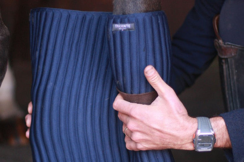 Chargez l'image dans la visionneuse de la galerie, Marine