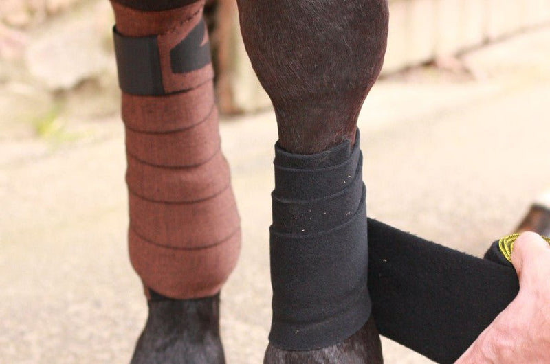 Chargez l'image dans la visionneuse de la galerie, Marron