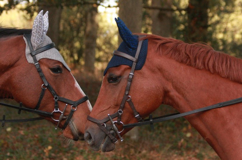 Chargez l'image dans la visionneuse de la galerie, Roi / Marine