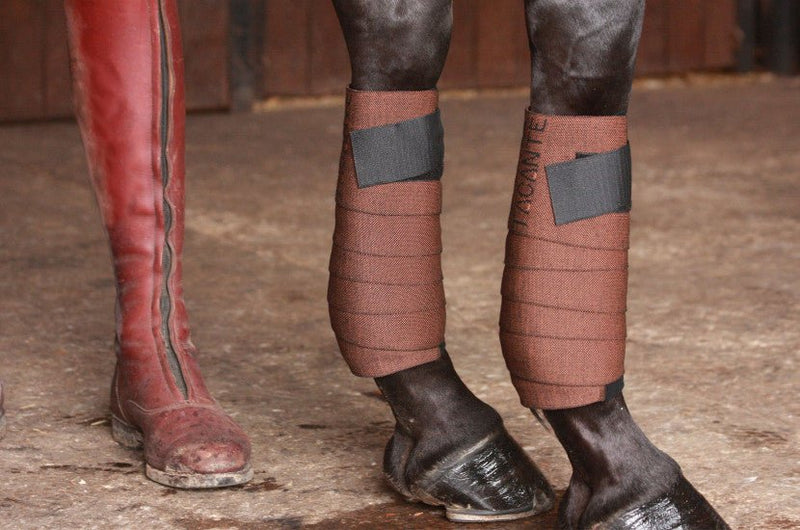 Chargez l'image dans la visionneuse de la galerie, Marron