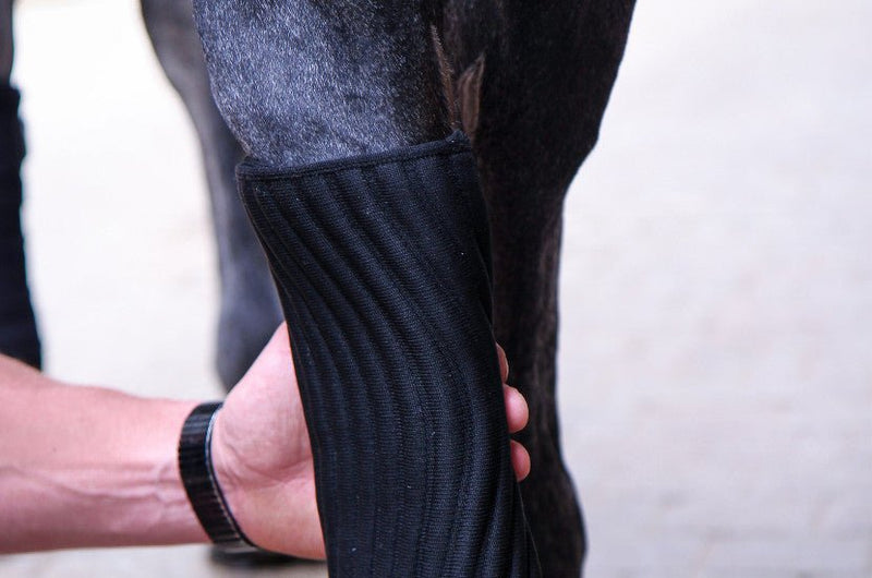 Chargez l'image dans la visionneuse de la galerie, Noir