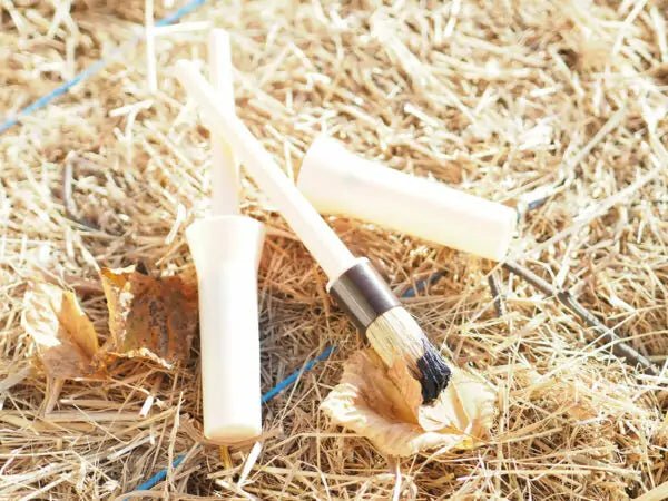 Chargez l'image dans la visionneuse de la galerie, Pinceau