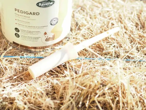 Chargez l'image dans la visionneuse de la galerie, Pinceau