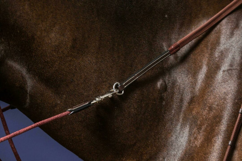 Chargez l'image dans la visionneuse de la galerie, Rênes de gogue WBD