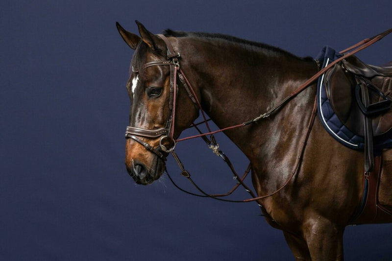 Chargez l'image dans la visionneuse de la galerie, Rênes de gogue WBD