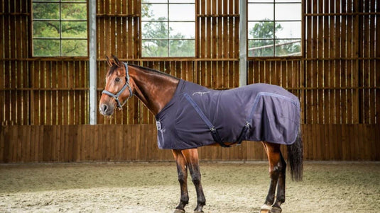Cheval bai debout dans un manège, équipé d’une couverture d’écurie bleu marine avec sursangles croisées, lumière naturelle à travers les fenêtres en bois.