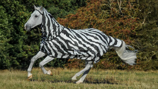 cheval avec une couverture zébrée
