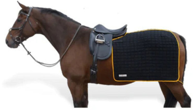 Couvre-reins pour cheval : guide complet pour bien choisir