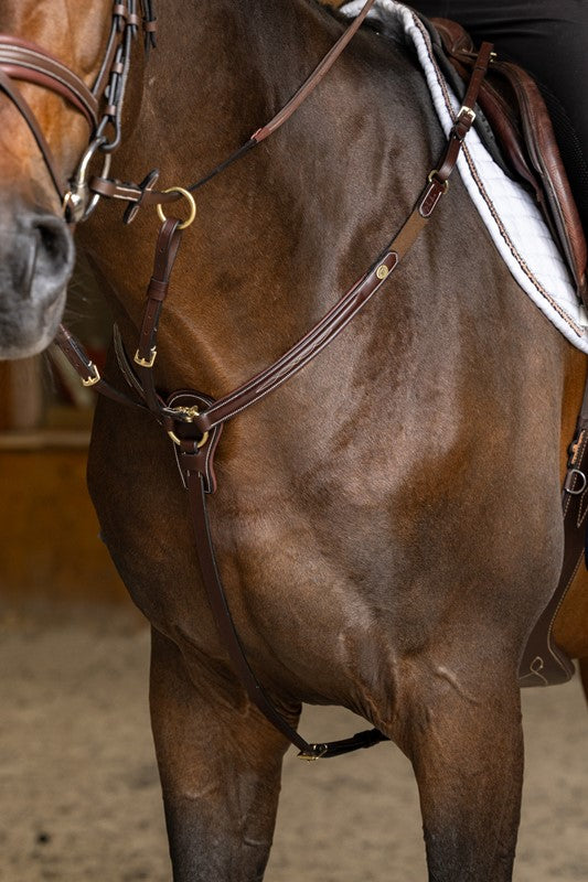 Collier de chasse Arezzo Pro Line