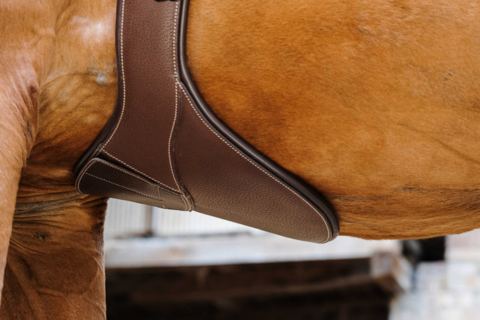 Sangle bavette Magnet