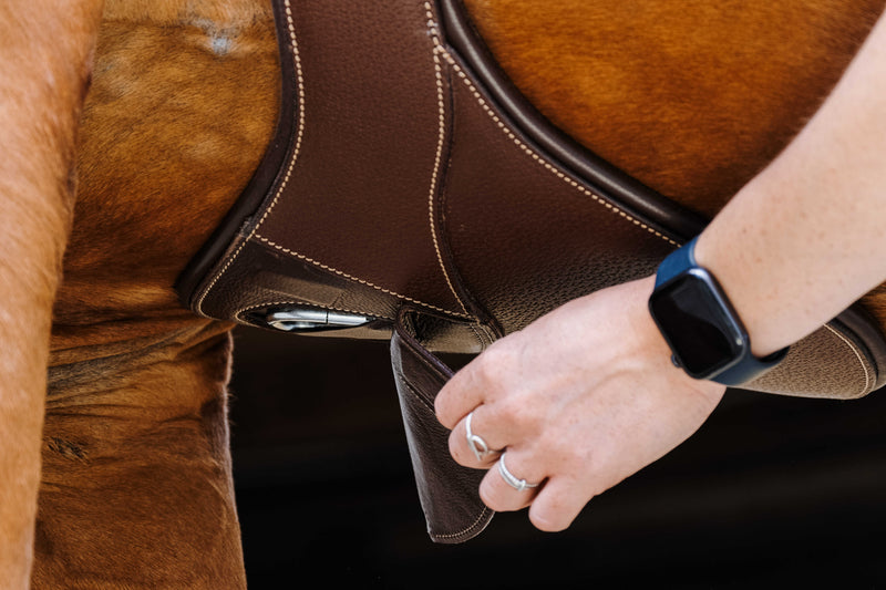 Chargez l&#39;image dans la visionneuse de la galerie, Sangle bavette Magnet
