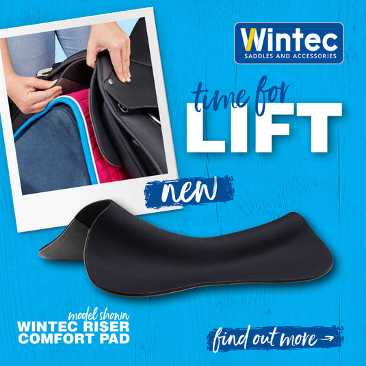 Amortisseur Wintec