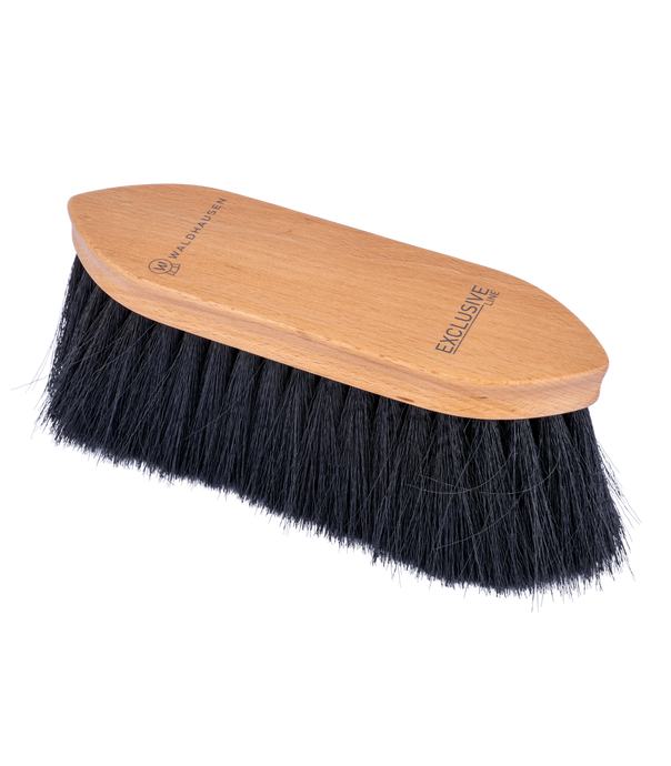 Brosse à poussière