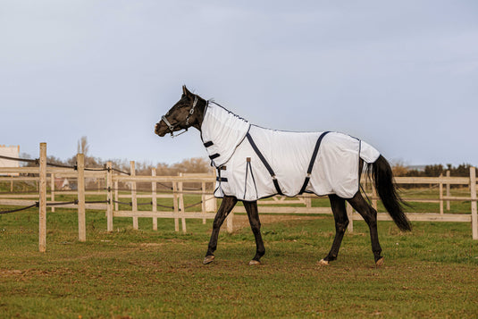 Chemise anti-insectes EQUITHÈME - Mesh combo