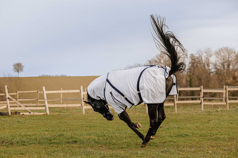 Chargez l'image dans la visionneuse de la galerie, Chemise anti-insectes EQUITHÈME - Mesh combo
