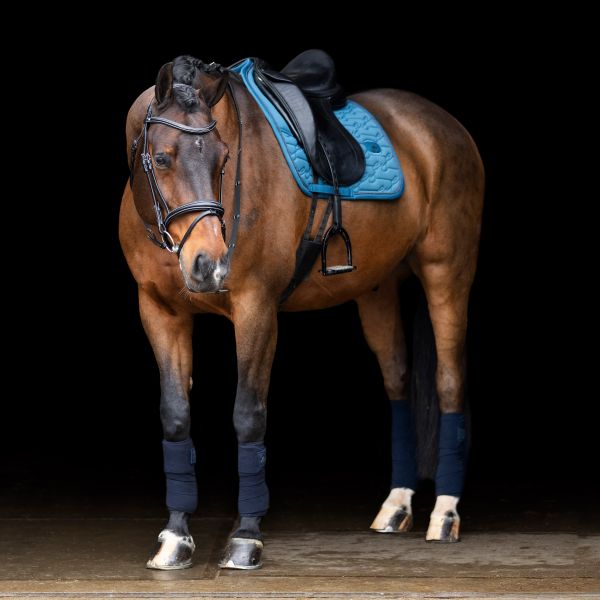 Chargez l&#39;image dans la visionneuse de la galerie, tapis de selle  ESLiona Dressage
