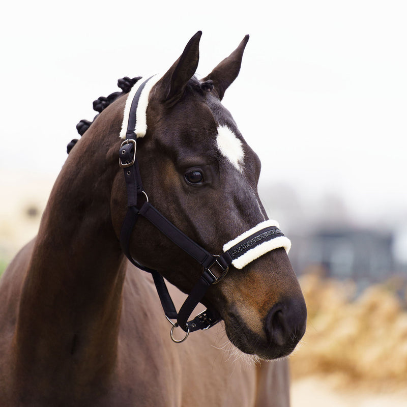 Chargez l&#39;image dans la visionneuse de la galerie, Licol Jewel cheval
