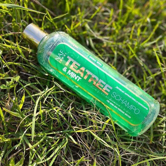 Tee Tree and Mint Shampoo