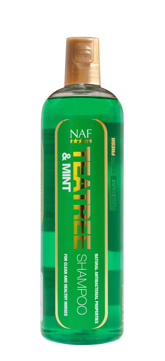 Tee Tree and Mint Shampoo