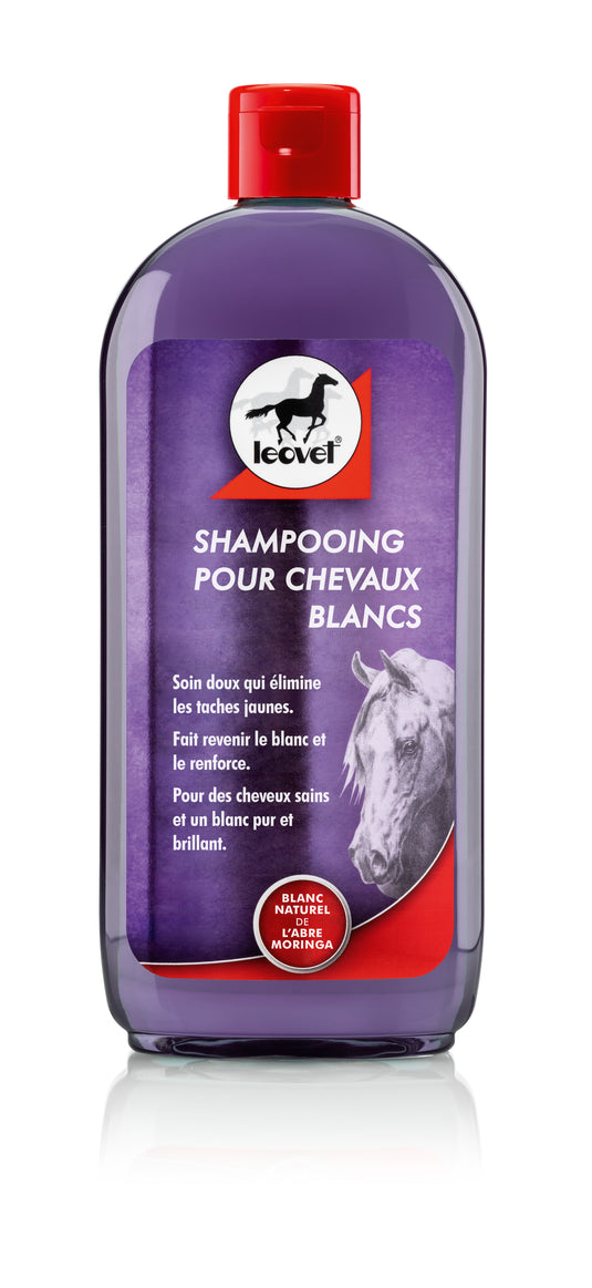 Shampooing pour chevaux blancs