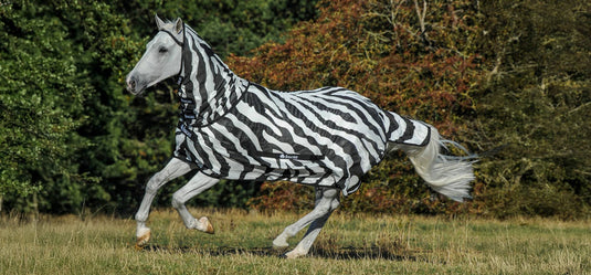 Buzz-off & neck Zebra
