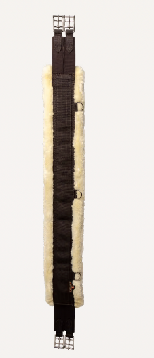 Sangle mouton