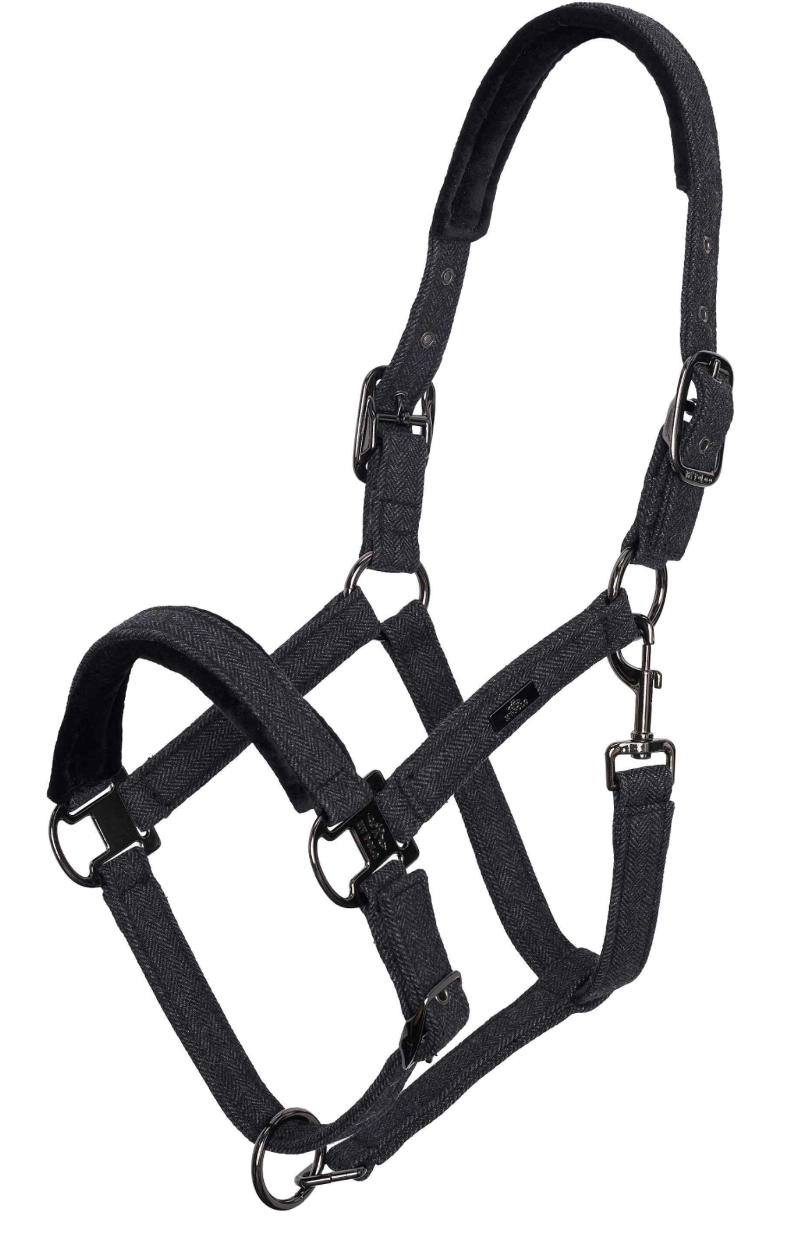 Licol HVPFrancis HV Polo