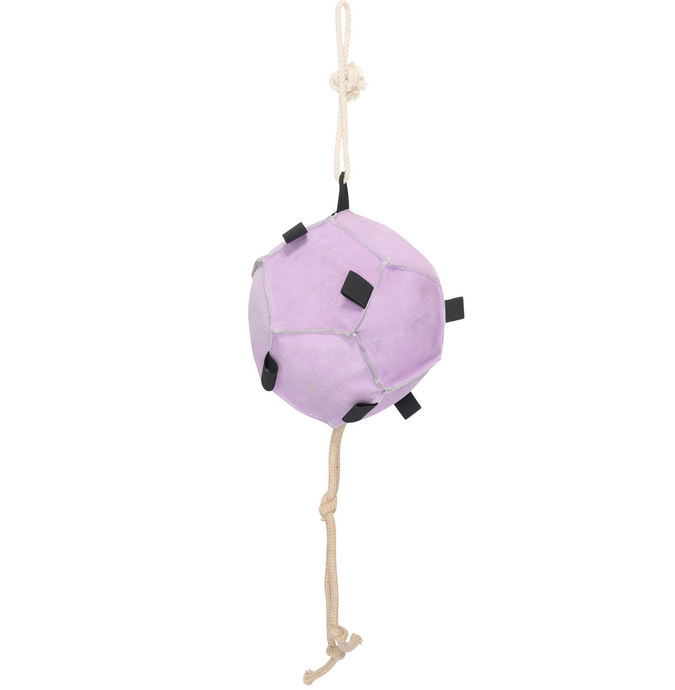 Horse ball IRH-Volley up