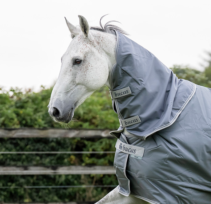 Chargez l'image dans la visionneuse de la galerie, smartex Neck
