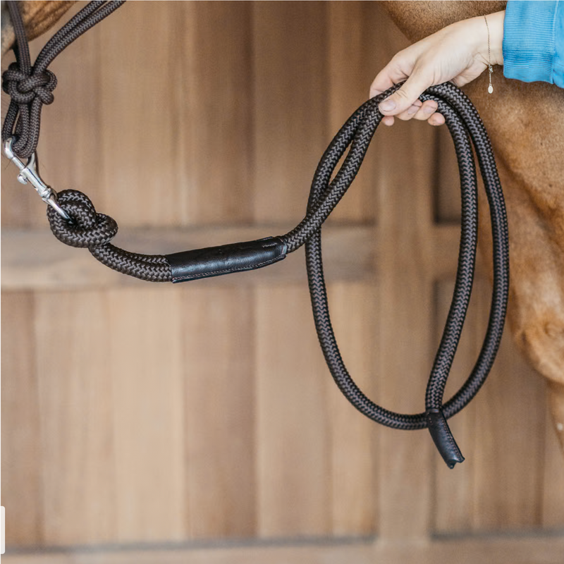 Chargez l'image dans la visionneuse de la galerie, Longe Avec Mousqueton detachable 2 M
