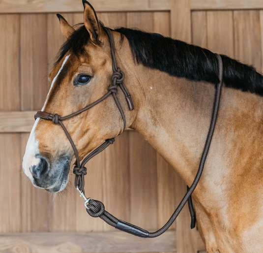 Longe Avec Mousqueton detachable 2 M