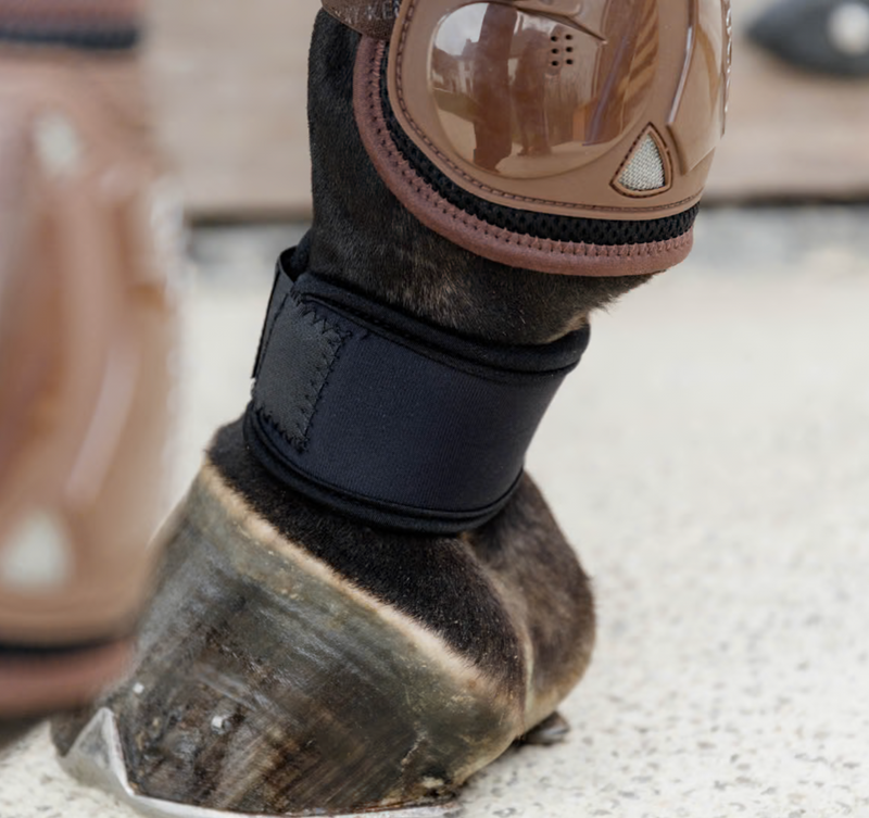 Chargez l'image dans la visionneuse de la galerie, Protège paturon
