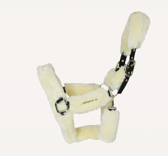Sheepskin licol