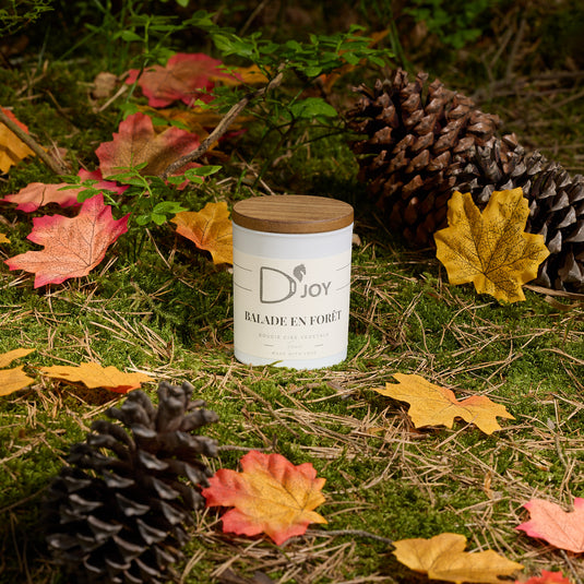 Bougie D'JOY Balade en forêt 150 g