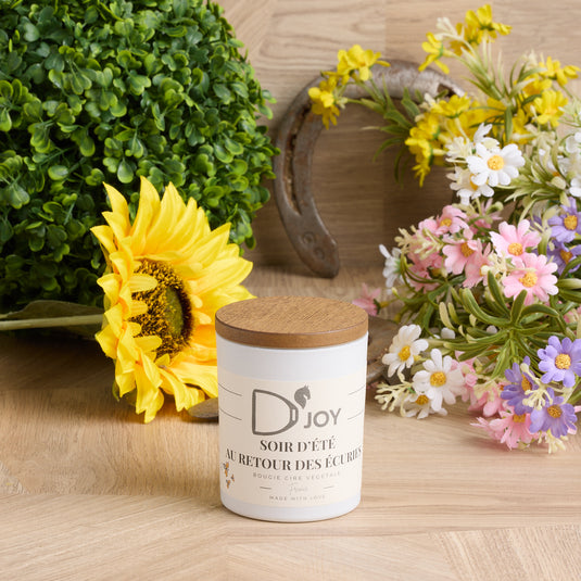 Bougie D'JOY Soir d'été au retour des écuries 150 g