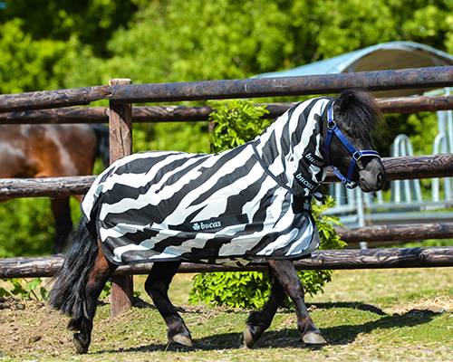 Buzz-off & neck Zebra
