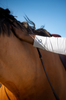 Polo de concours Maurice