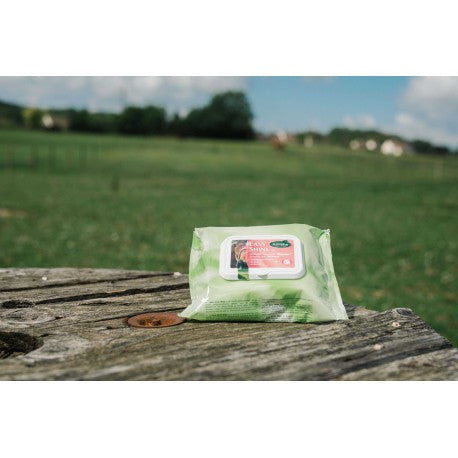 Lingettes Easy Shine Wipe en extérieur
