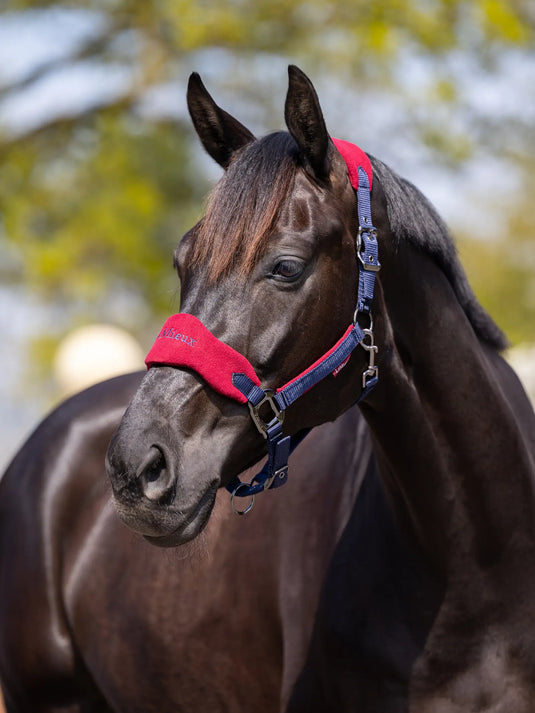 Vogue headcollar & leadrope